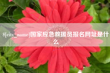 乐清国家应急救援员报名网址是什么