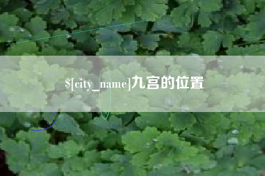 乐清九宫的位置