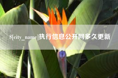 乐清执行信息公开网多久更新