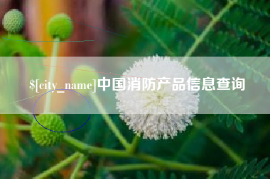 乐清中国消防产品信息查询