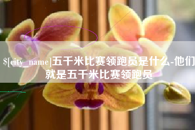 乐清五千米比赛领跑员是什么-他们就是五千米比赛领跑员