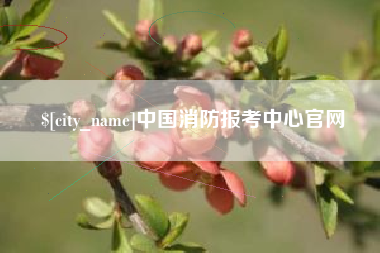 乐清中国消防报考中心官网