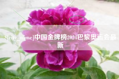 乐清中国金牌榜2024巴黎奥运会最新