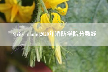 乐清2020年消防学院分数线