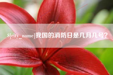 乐清我国的消防日是几月几号？