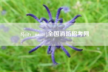 乐清全国消防招考网