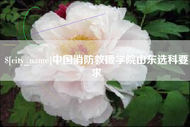 乐清中国消防救援学院山东选科要求