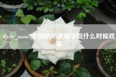 乐清中国消防救援学院什么时候政审