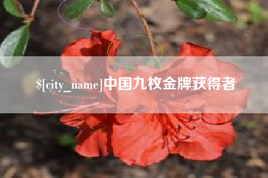 乐清中国九枚金牌获得者