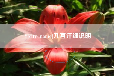 乐清九宫详细说明