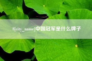 乐清中国冠军是什么牌子