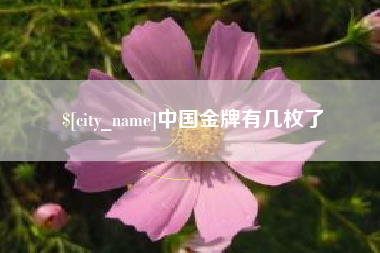 乐清中国金牌有几枚了