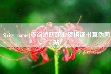 乐清查询消防职业资格证书真伪网站