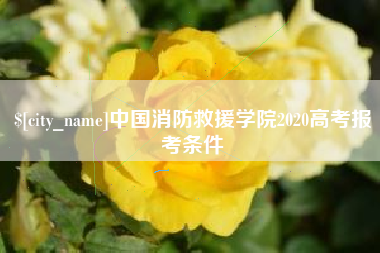 乐清中国消防救援学院2020高考报考条件