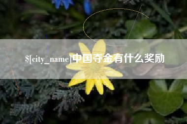 乐清中国夺金有什么奖励