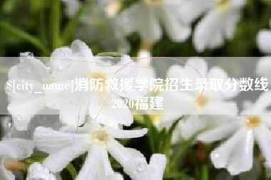乐清消防救援学院招生录取分数线2020福建