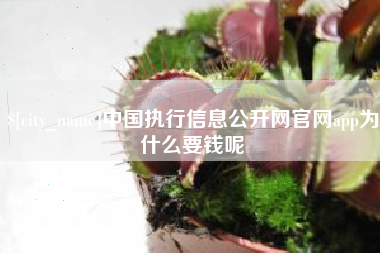 乐清中国执行信息公开网官网app为什么要钱呢