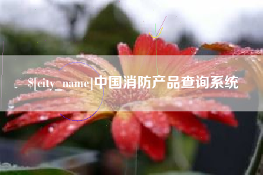 乐清中国消防产品查询系统