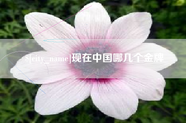 乐清现在中国哪几个金牌