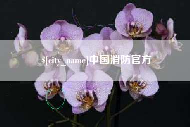 乐清中国消防官方