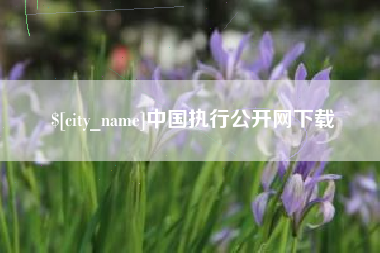 乐清中国执行公开网下载