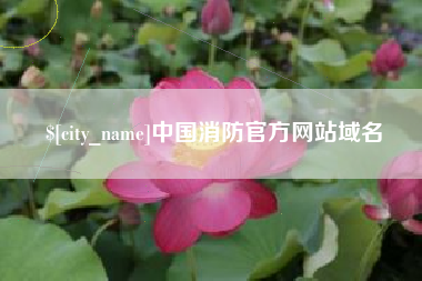 乐清中国消防官方网站域名