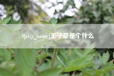 乐清王子豪是个什么