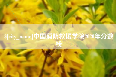 乐清中国消防救援学院2020年分数线