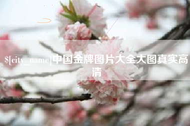 乐清中国金牌图片大全大图真实高清
