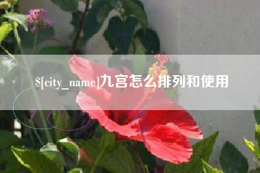乐清九宫怎么排列和使用
