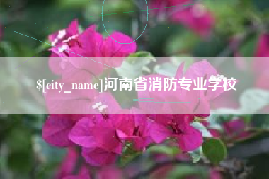 乐清河南省消防专业学校