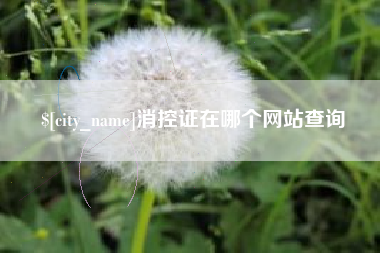 乐清消控证在哪个网站查询