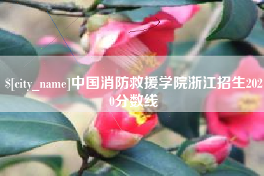 乐清中国消防救援学院浙江招生2020分数线