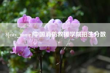乐清中国消防救援学院招生分数