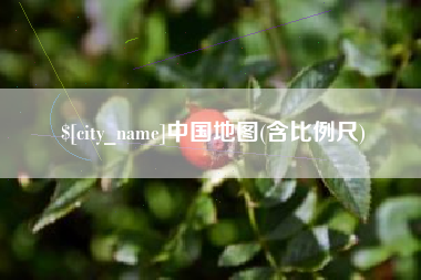 乐清中国地图(含比例尺)