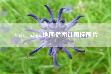 乐清地图指南针图标图片