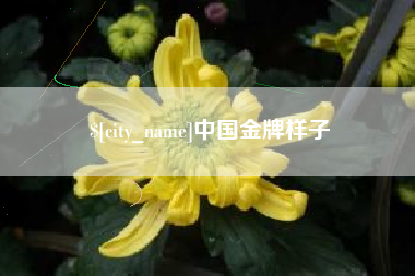 乐清中国金牌样子