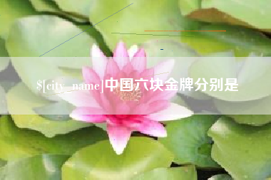 乐清中国六块金牌分别是