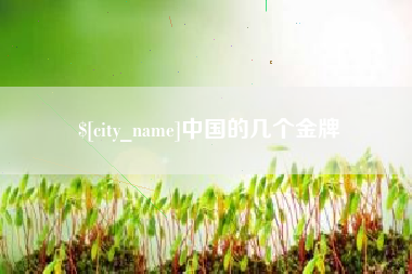 乐清中国的几个金牌