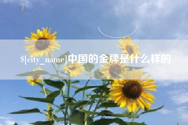 乐清中国的金牌是什么样的