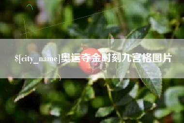 乐清奥运夺金时刻九宫格图片