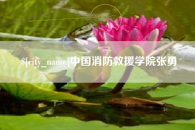 乐清中国消防救援学院张勇