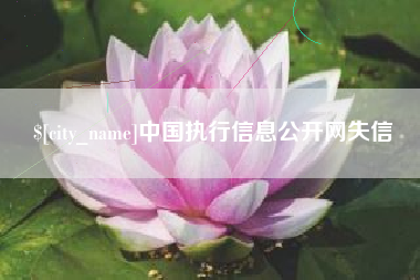 乐清中国执行信息公开网失信