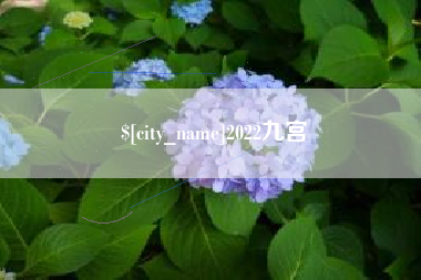 乐清2022九宫