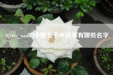 乐清中国五千米冠军有哪些名字