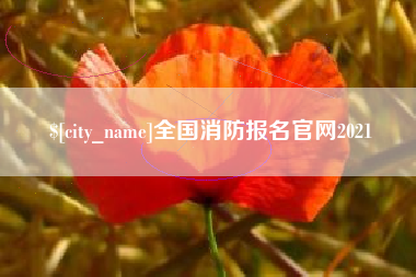 乐清全国消防报名官网2021
