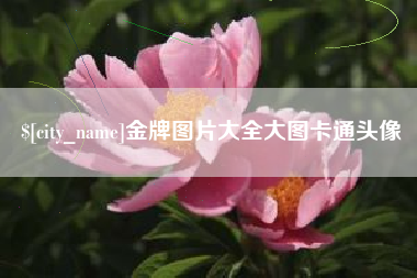 乐清金牌图片大全大图卡通头像
