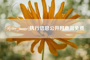 乐清执行信息公开网查询免费