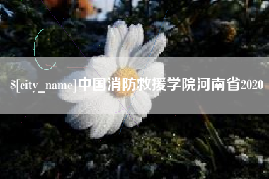 乐清中国消防救援学院河南省2020